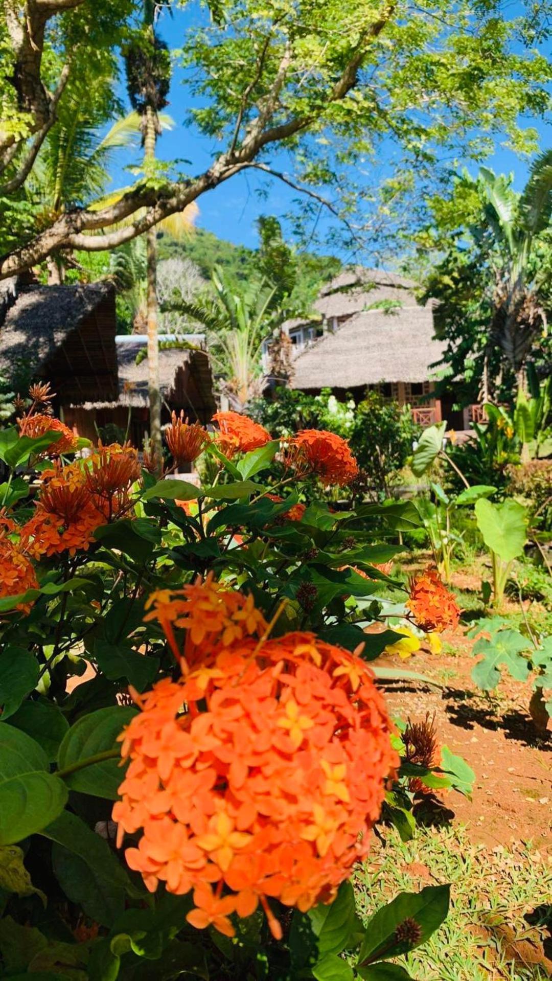 Tamarin Lodge Ampangorinana Exterior foto