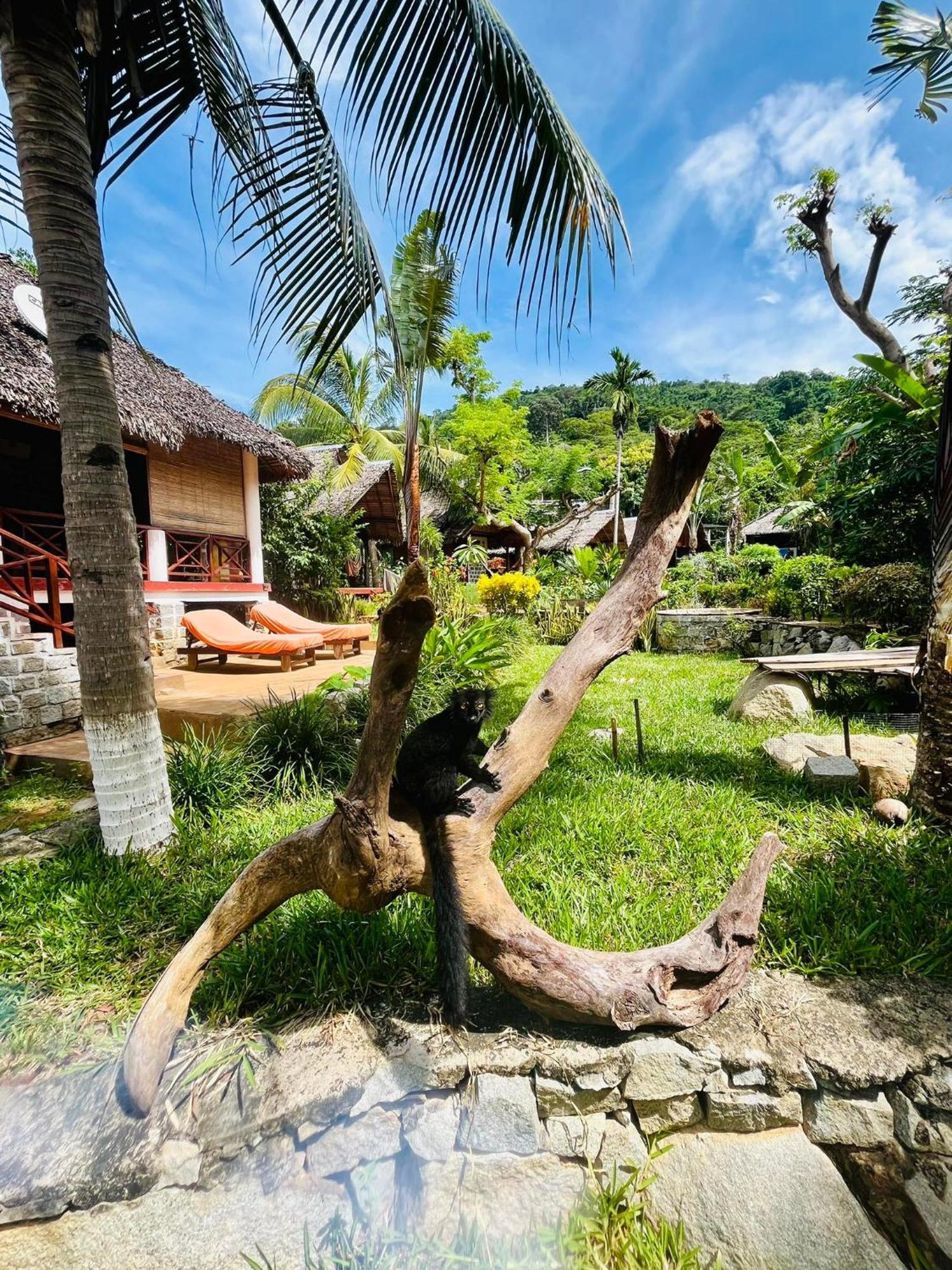 Tamarin Lodge Ampangorinana Exterior foto